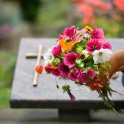 Servicii funerare pret