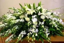 PAX Funerare Targu Mures