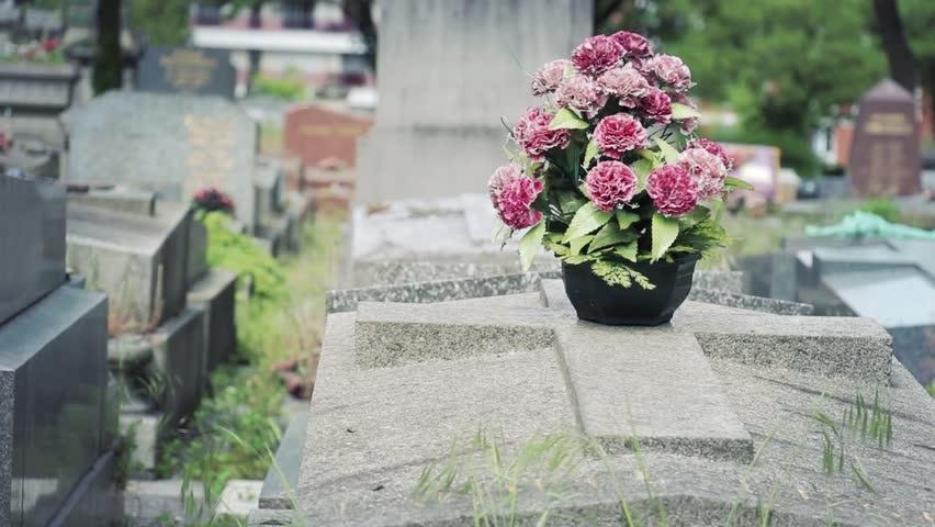 Agentie Servicii Funerare  Botosani