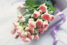 Servicii Funerare Satu Mare