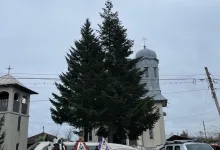 Agentie Servicii Funerare Funerare Costesti 0723757779 - CASA FUNERARA DRAGOMIR