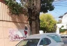 Agentie Servicii Funerare Servicii Funerare Bucuresti Sector 2 - Funerare Expert