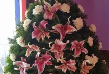 Agentie Servicii Funerare Servicii Funerare Sector 6 - SC COMPLETE FUNERALS SERVICES SRL