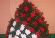 Agentie Servicii Funerare Servicii Funerare Sector 6 - SC COMPLETE FUNERALS SERVICES SRL