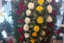 Agentie Servicii Funerare  Repatriere Decedati Transport Funerar Chiajna - CASA FUNERARA CONDOLEANTE SIBIU