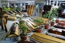 Agentie Servicii Funerare Servicii funerare Pitesti - ANGELO ETERNITY SRL