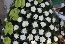 Agentie Servicii Funerare Servicii funerare Rosu - SC COMPLETE FUNERALS SERVICES SRL