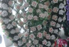 Agentie Servicii Funerare Servicii Funerare Suceava - Dany Decor