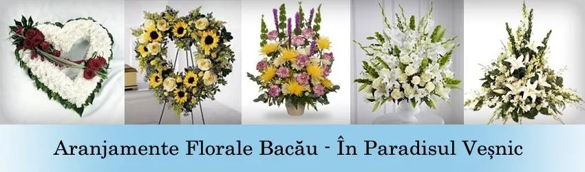 aranjamente-florale-bacau