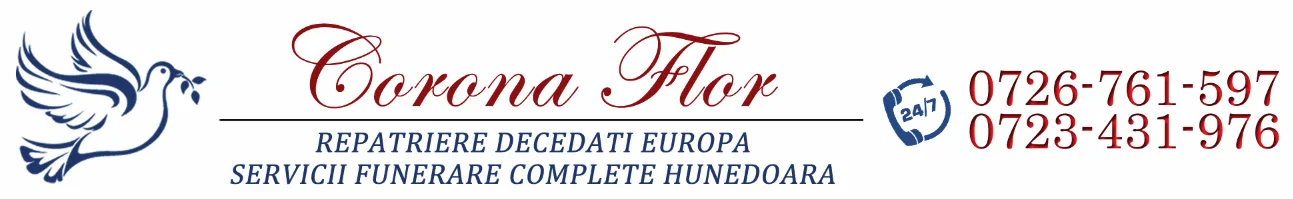 repatriere decedati hunedoara.png repatriere decedati hunedoara.png